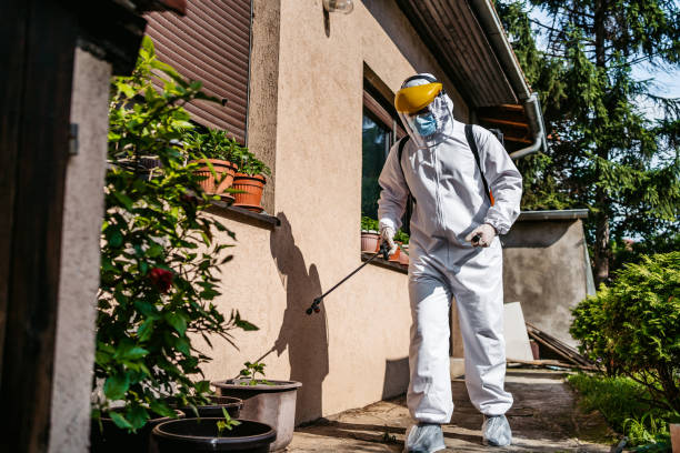 Best Insect Control  in Santa Clara, CA