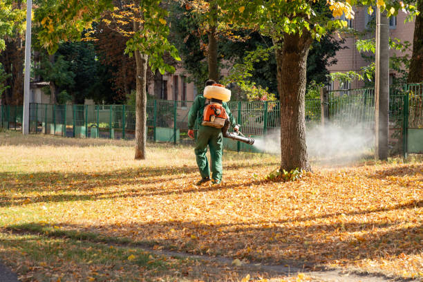 Best Best Pest Control Companies  in Santa Clara, CA