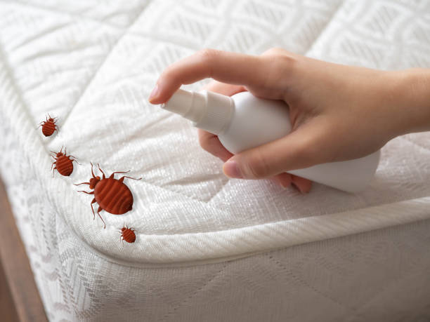 Best Commercial Pest Control Services  in Santa Clara, CA