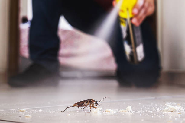 Best Best Pest Control Near Me  in Santa Clara, CA