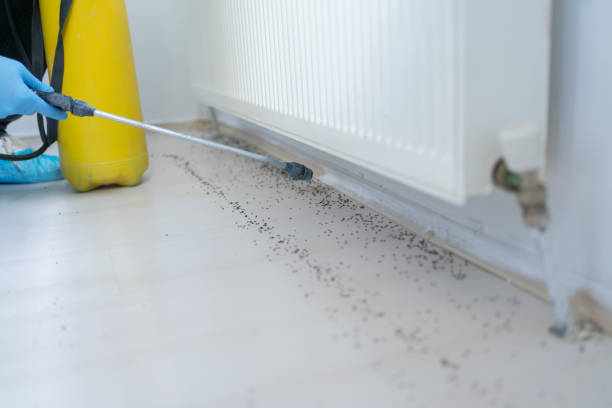 Pest Prevention Services in Santa Clara, CA